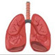 Breathing Feature